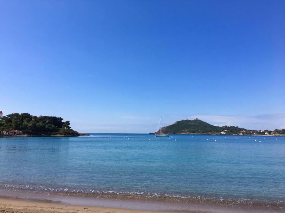 Les Marines D'Agay Studio Climatise Saint-Raphaël Exteriör bild